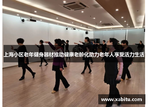 上海小区老年健身器材推动健康老龄化助力老年人享受活力生活