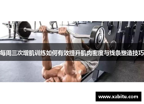 每周三次增肌训练如何有效提升肌肉密度与线条塑造技巧